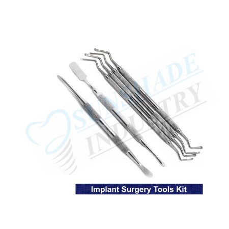 Dental Surgical Instrument Kit – Lucas Bone Curette, Prichard & Molt 9 Elevators Set